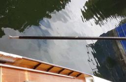 Carbon fibre pole - August 2016
